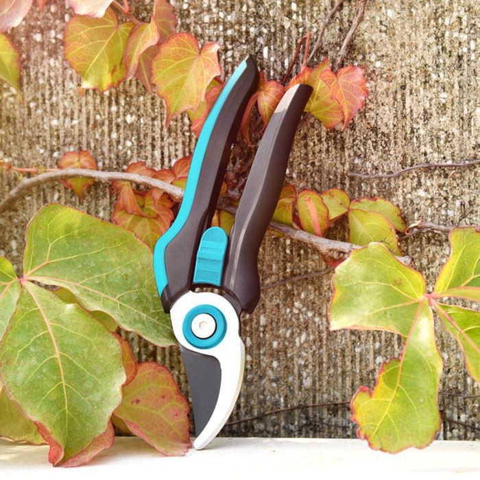 small pruner