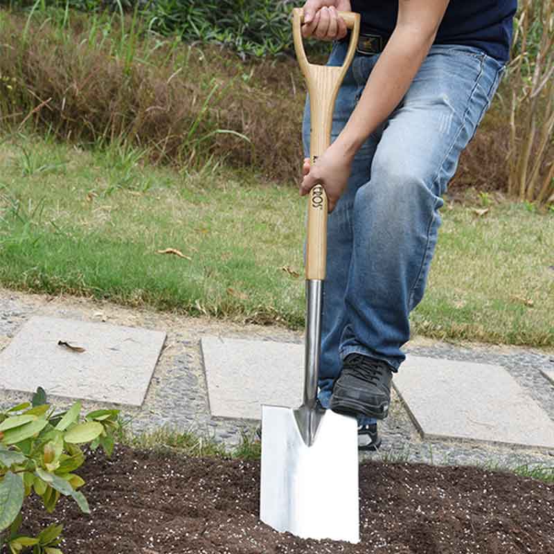 Multifunctional Multifunctional