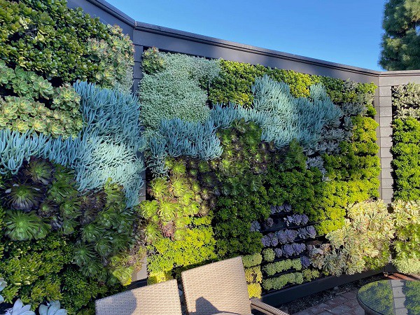 How to create urban vertical garden How to create urban vertical garden