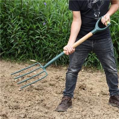 Digging Garden Fork scenes Digging Garden Fork scenes