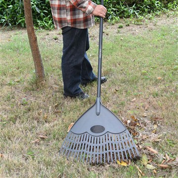 겨울철에 Vinca를 어떻게 관리합니까?