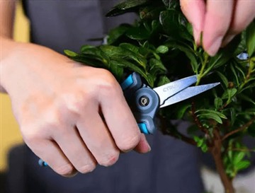 새롭고 더 큰 가위를 출시한 이유