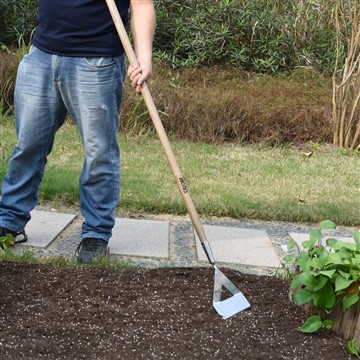 채소밭 시작의 이점
