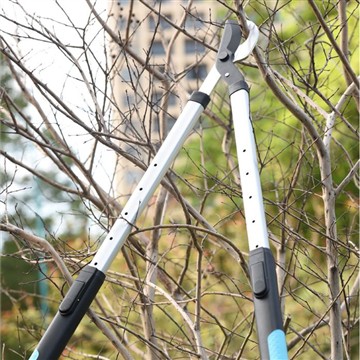 가지치기 및 다듬기: 내 가족을 돌보기 Garde