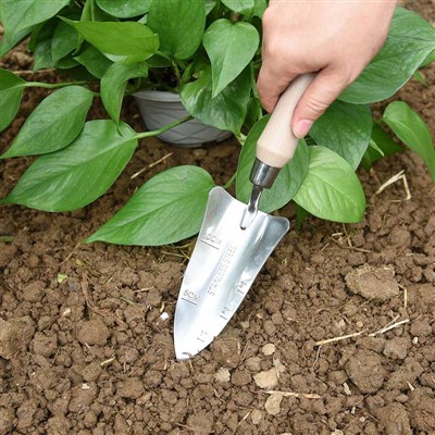 정원 심기 일기 -1