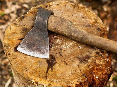 나무 절단 도구 및 안전 장비