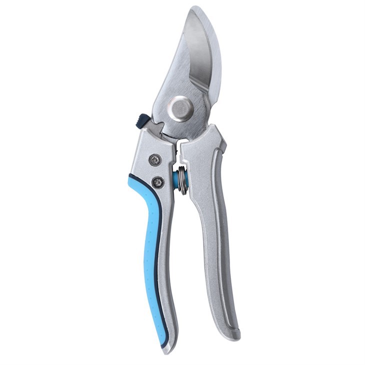 고품질 가지 치기 전단