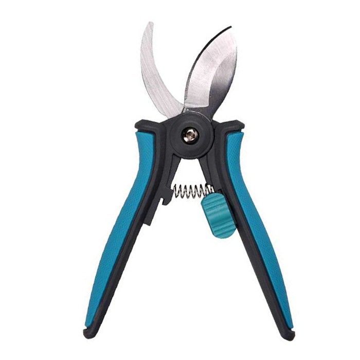 관엽식물 가지치기