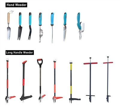 녹색 재배: 정원의 지속 가능성 수용