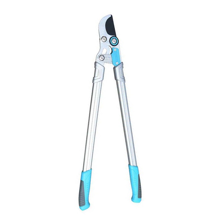 롭핑 가지 치기 전단