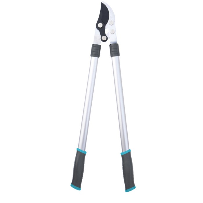 래칫 정원 로프퍼